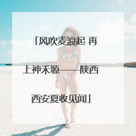 风吹麦浪起 再上神禾塬——陕西西安夏收见闻