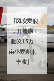 风吹麦浪，开镰啦！顺义15万亩小麦迎来丰收