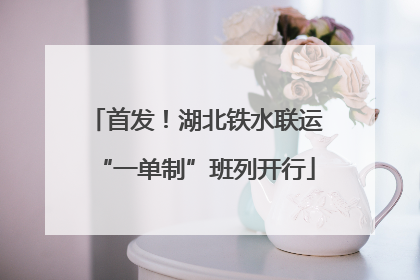 首发！湖北铁水联运“一单制”班列开行