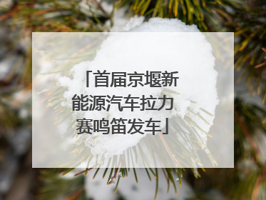 首届京堰新能源汽车拉力赛鸣笛发车
