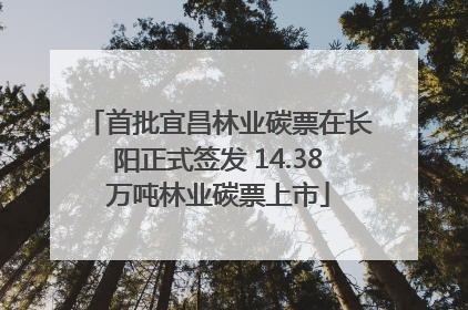 首批宜昌林业碳票在长阳正式签发 14.38万吨林业碳票上市