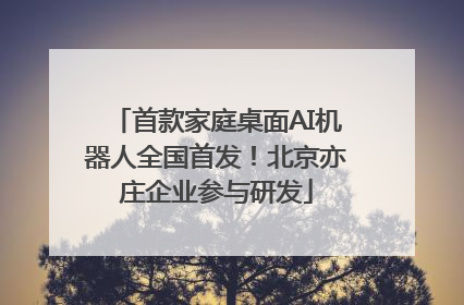首款家庭桌面AI机器人全国首发！北京亦庄企业参与研发