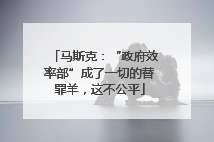 马斯克：“政府效率部”成了一切的替罪羊，这不公平