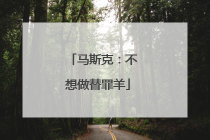 马斯克：不想做替罪羊