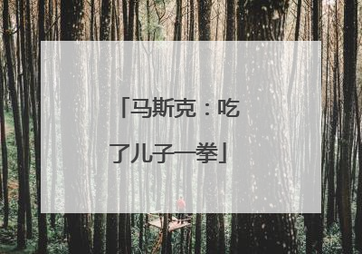 马斯克：吃了儿子一拳