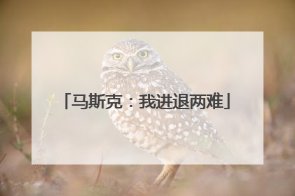 马斯克：我进退两难