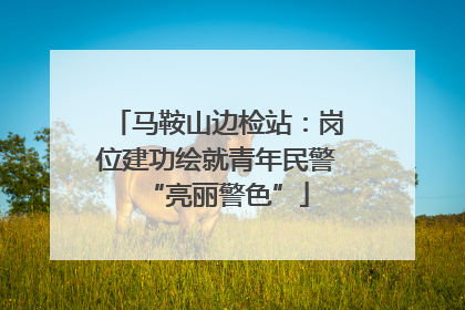 马鞍山边检站：岗位建功绘就青年民警“亮丽警色”