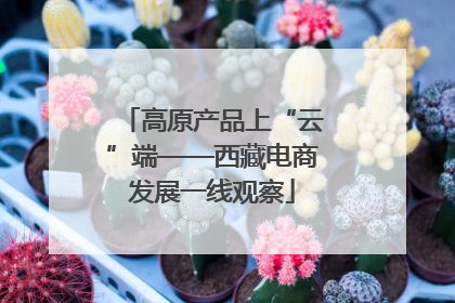高原产品上“云”端——西藏电商发展一线观察