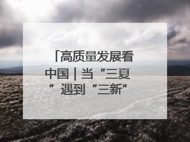 高质量发展看中国｜当“三夏”遇到“三新”：看南北田野里的科技共生记