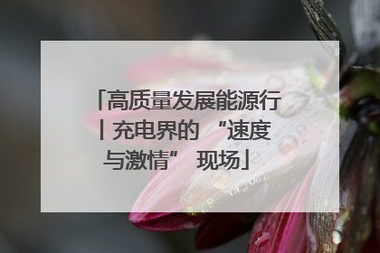 高质量发展能源行丨充电界的 “速度与激情” 现场