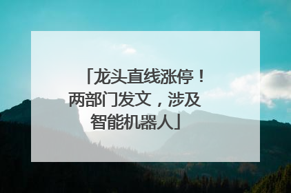 龙头直线涨停！两部门发文，涉及智能机器人