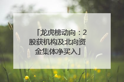 龙虎榜动向：2股获机构及北向资金集体净买入