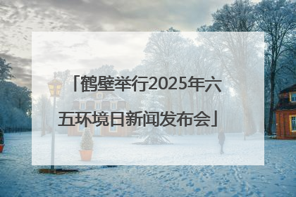 鹤壁举行2025年六五环境日新闻发布会