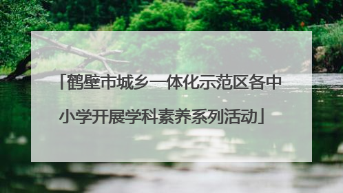 鹤壁市城乡一体化示范区各中小学开展学科素养系列活动
