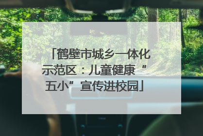 鹤壁市城乡一体化示范区：儿童健康“五小”宣传进校园
