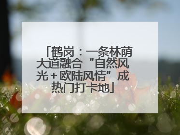 鹤岗：一条林荫大道融合“自然风光＋欧陆风情”成热门打卡地