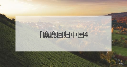 麋鹿回归中国40年 洞庭湖畔上演“鹿王争霸”