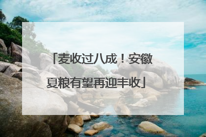 麦收过八成！安徽夏粮有望再迎丰收