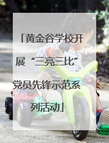 黄金谷学校开展“三亮三比”党员先锋示范系列活动