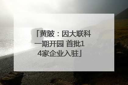 黄陂：因大联科一期开园 首批14家企业入驻