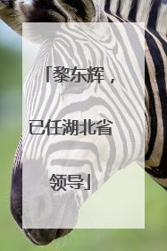 黎东辉，已任湖北省领导