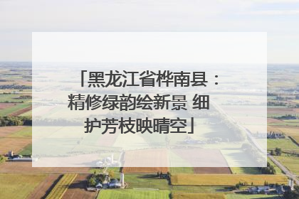 黑龙江省桦南县：精修绿韵绘新景 细护芳枝映晴空