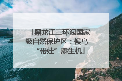 黑龙江三环泡国家级自然保护区：候鸟“带娃”添生机