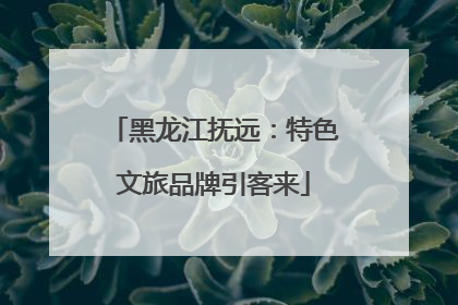 黑龙江抚远：特色文旅品牌引客来