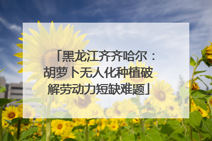 黑龙江齐齐哈尔：胡萝卜无人化种植破解劳动力短缺难题