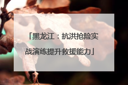 黑龙江：抗洪抢险实战演练提升救援能力