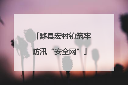黟县宏村镇筑牢防汛“安全网”