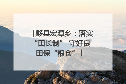 黟县宏潭乡：落实“田长制” 守好良田保“粮仓”