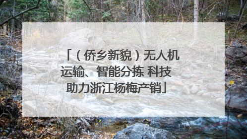 （侨乡新貌）无人机运输、智能分拣 科技助力浙江杨梅产销