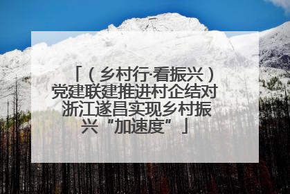 （乡村行·看振兴）党建联建推进村企结对 浙江遂昌实现乡村振兴“加速度”