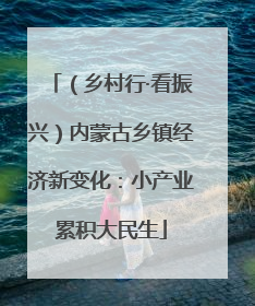 （乡村行·看振兴）内蒙古乡镇经济新变化：小产业累积大民生
