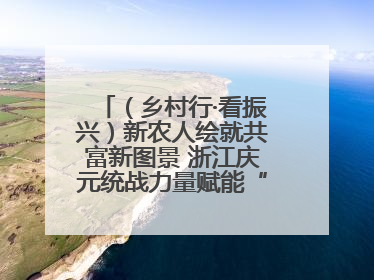 （乡村行·看振兴）新农人绘就共富新图景 浙江庆元统战力量赋能“海拔经济”