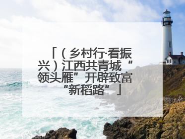 （乡村行·看振兴）江西共青城“领头雁”开辟致富“新稻路”
