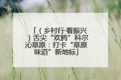 （乡村行·看振兴）舌尖“欢腾”科尔沁草原：打卡“草原味道”新地标