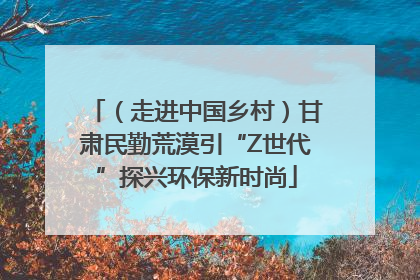 （走进中国乡村）甘肃民勤荒漠引“Z世代”探兴环保新时尚