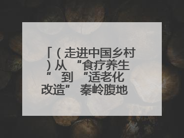 （走进中国乡村）从 “食疗养生” 到 “适老化改造” 秦岭腹地成康养“福地”