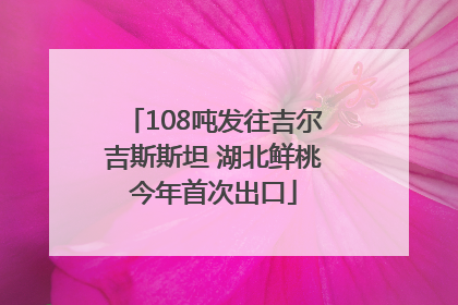 108吨发往吉尔吉斯斯坦 湖北鲜桃今年首次出口