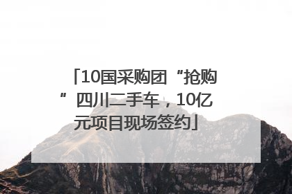 10国采购团“抢购”四川二手车，10亿元项目现场签约