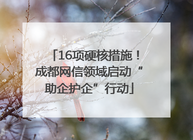 16项硬核措施！成都网信领域启动“助企护企”行动