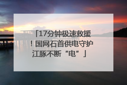 17分钟极速救援！国网石首供电守护江豚不断“电”
