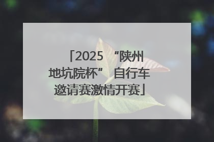 2025 “陕州地坑院杯” 自行车邀请赛激情开赛