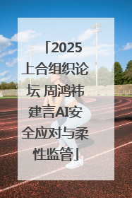 2025上合组织论坛 周鸿祎建言AI安全应对与柔性监管