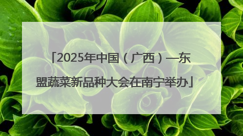2025年中国（广西）—东盟蔬菜新品种大会在南宁举办