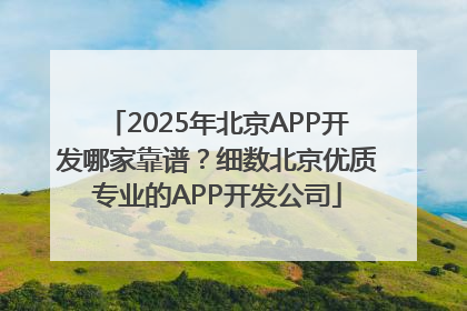 2025年北京APP开发哪家靠谱？细数北京优质专业的APP开发公司