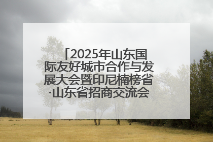 2025年山东国际友好城市合作与发展大会暨印尼楠榜省·山东省招商交流会在济南槐荫举行