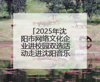 2025年沈阳市网络文化企业进校园双选活动走进沈阳音乐学院